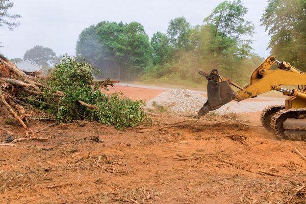 Cost of Forestry Mulching Service in Zionsville