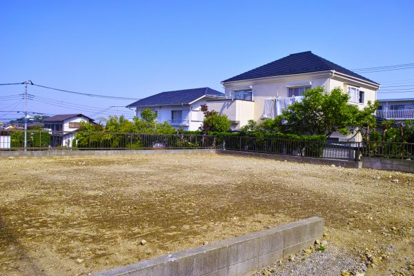 Cost of Lot Clearing Service in Zionsville