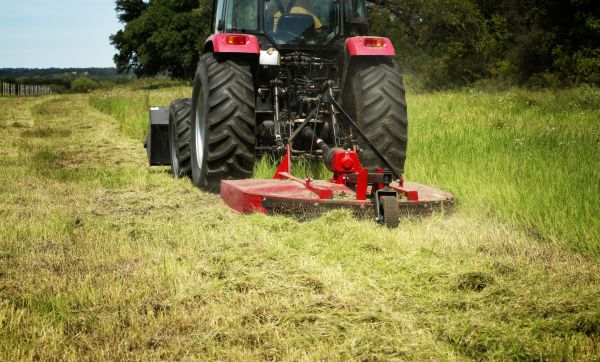 Cost of Brush Clearing Service in Zionsville