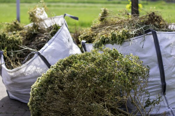 Bushes Clearing Service