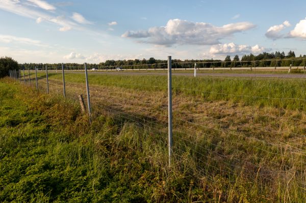 Cost of Property Line Clearing in Zionsville