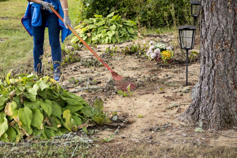 Choosing the Right Service